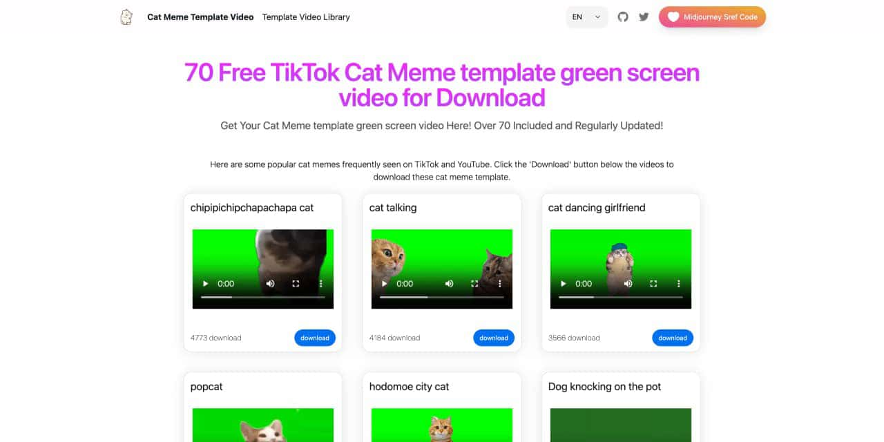 Cat Meme Template Video