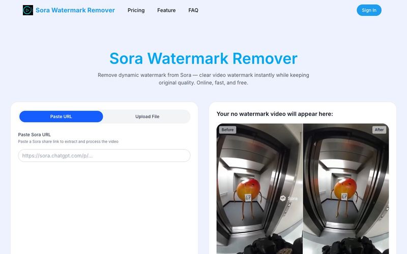 Sora Watermark Remover-Delete watermark form video Free Online | allinAI.Tools