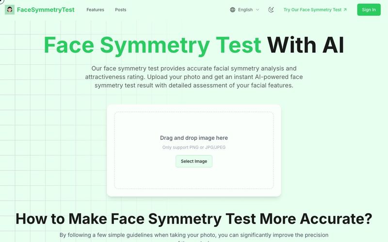 Face Symmetry Test-Professional Facial Analysis | allinAI.Tools