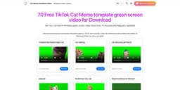 Cat Meme Template Video- Top 70 TikTok Cat Meme Template video for Download